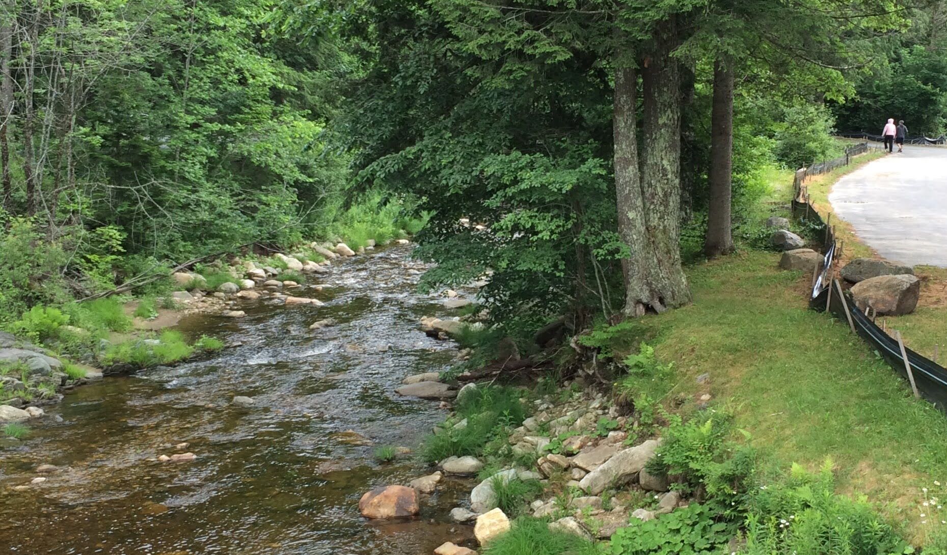 WSF4.JPG river